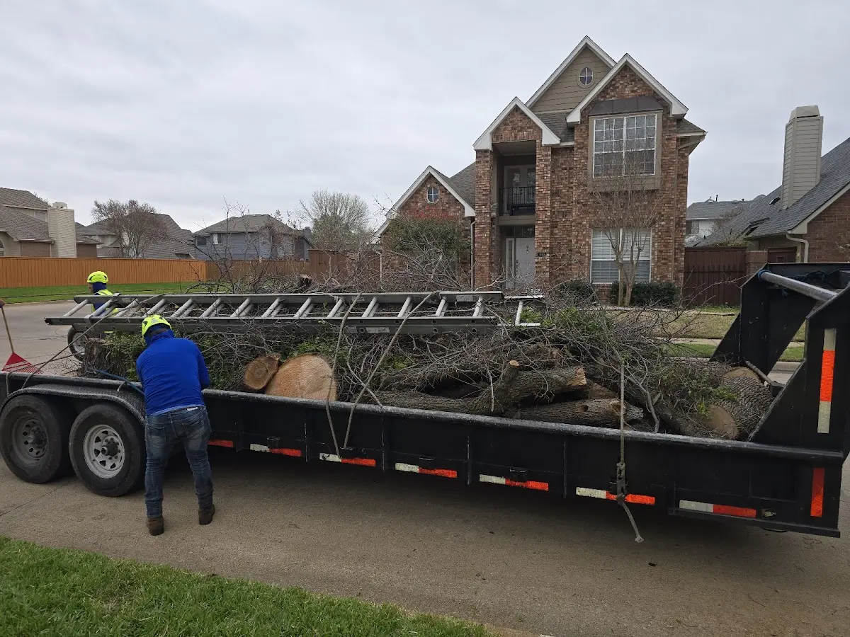 Expert Lot Clearing with proper safety equipment in Elgin